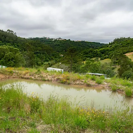 Arty Studio In A Farm House 펜션 Sobral da Abelheira